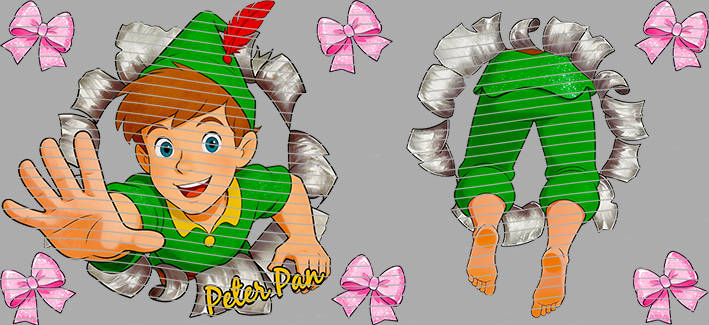 16oz Disney style-D-1155